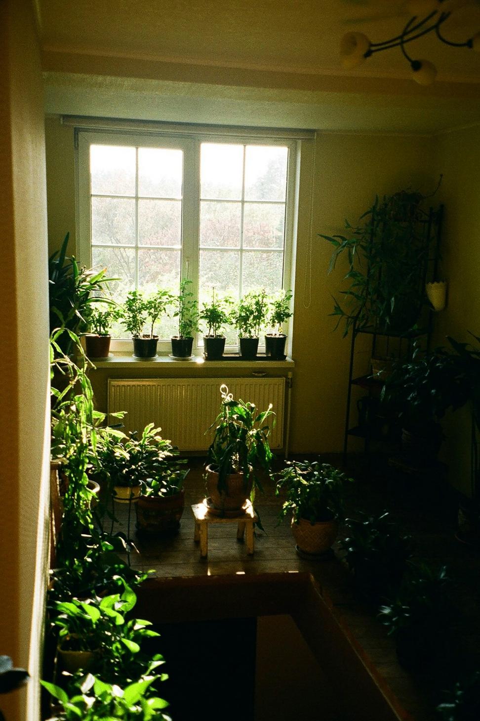 Indoor Quality